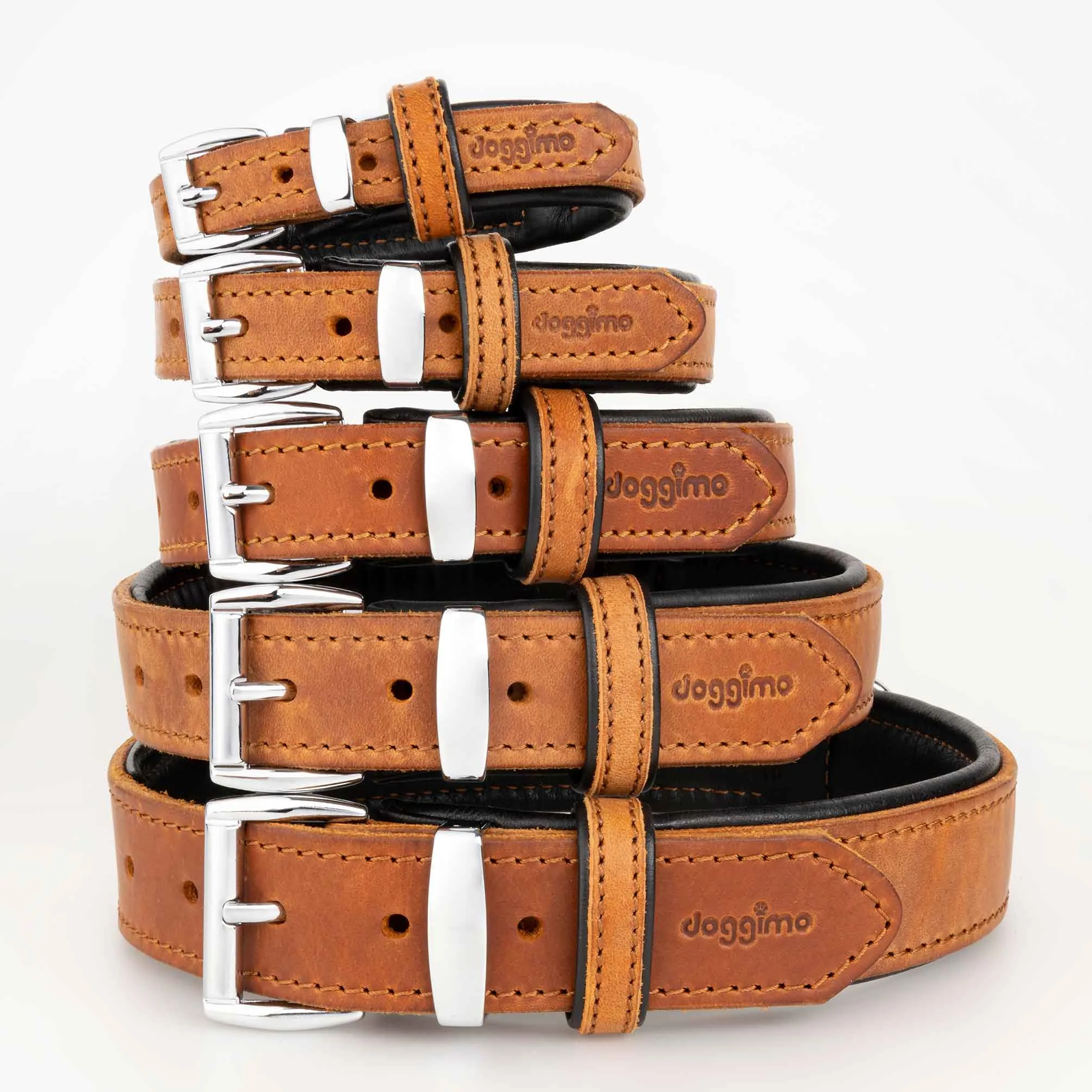 COLLARS - Premium Collection