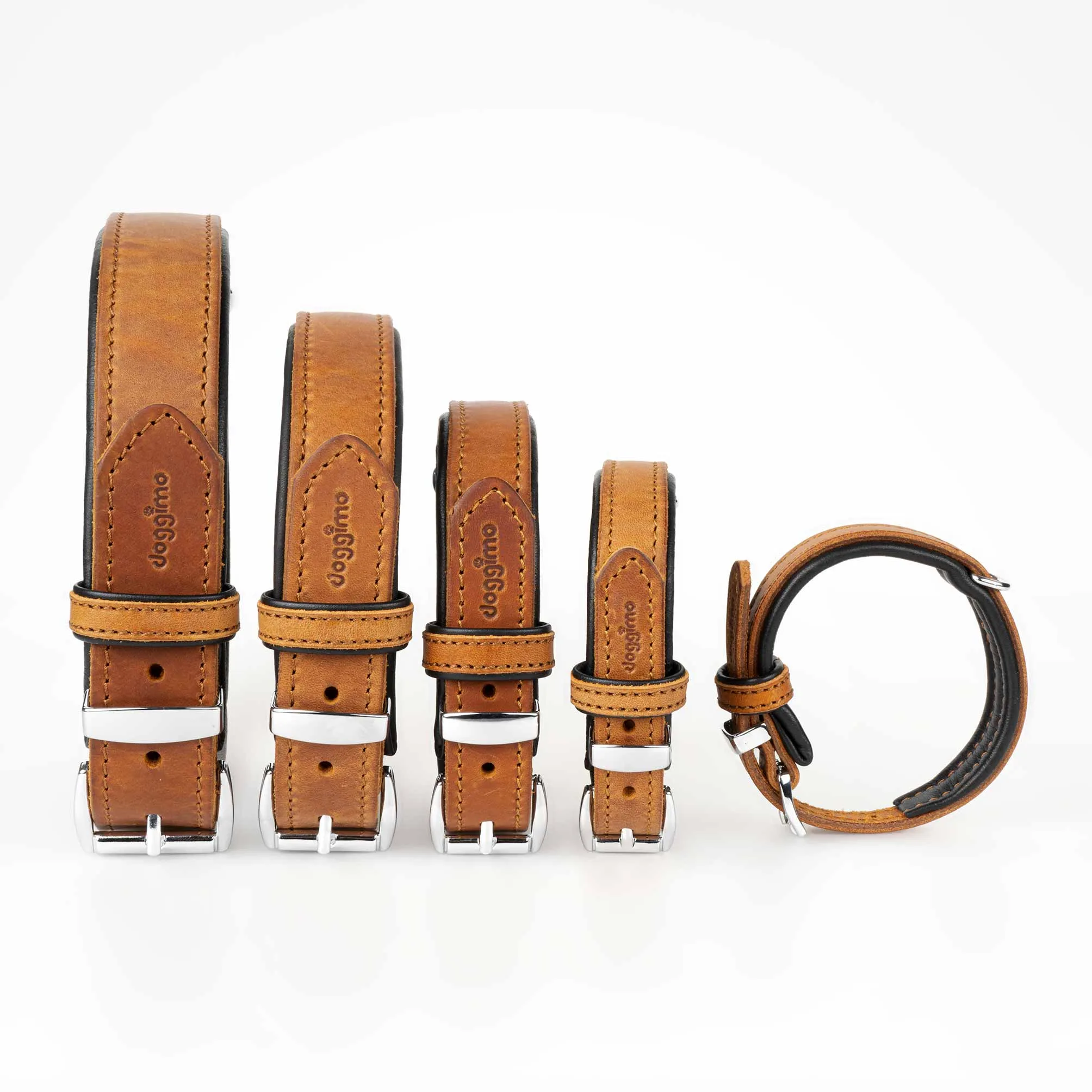 COLLARS - Premium Collection
