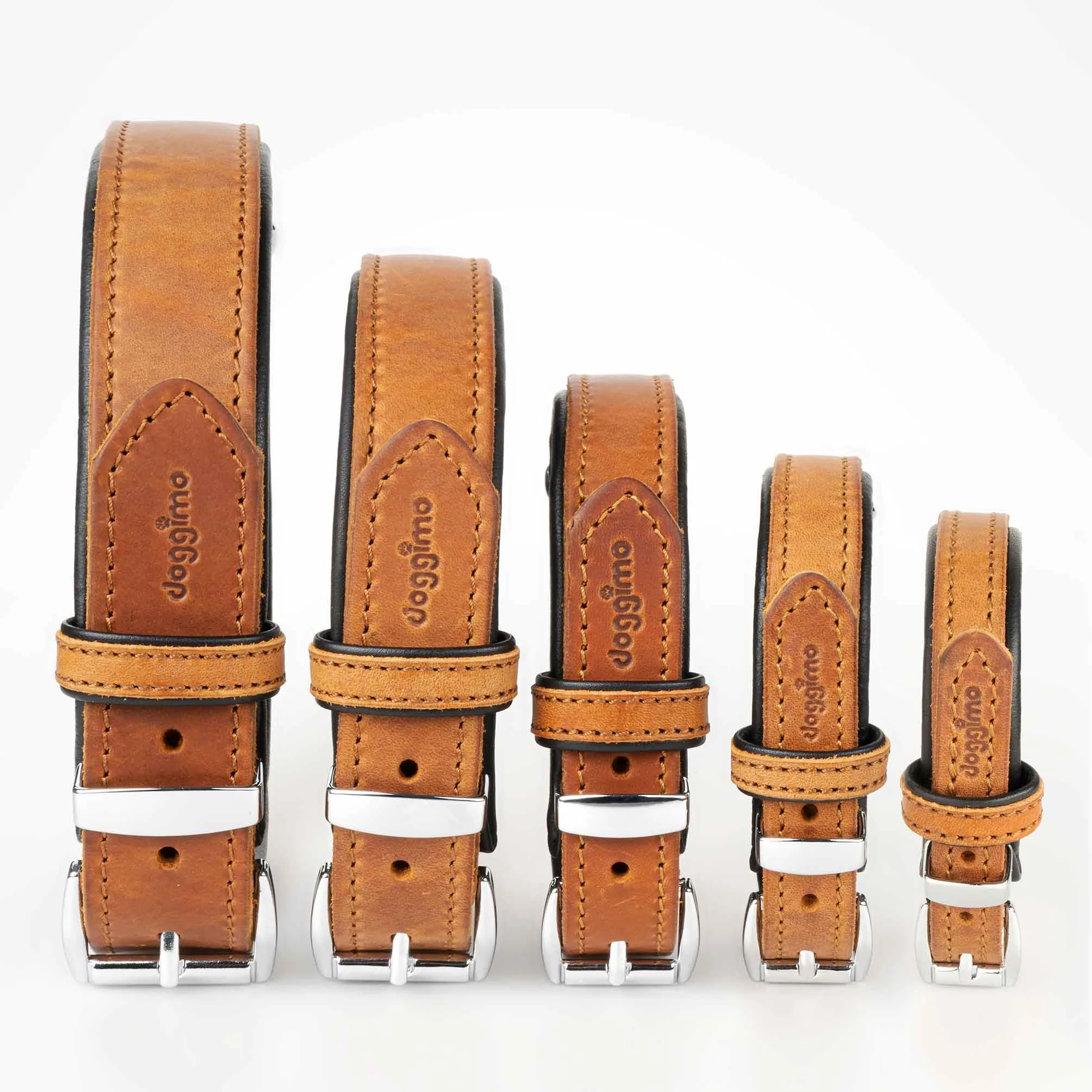 COLLARS - Premium Collection