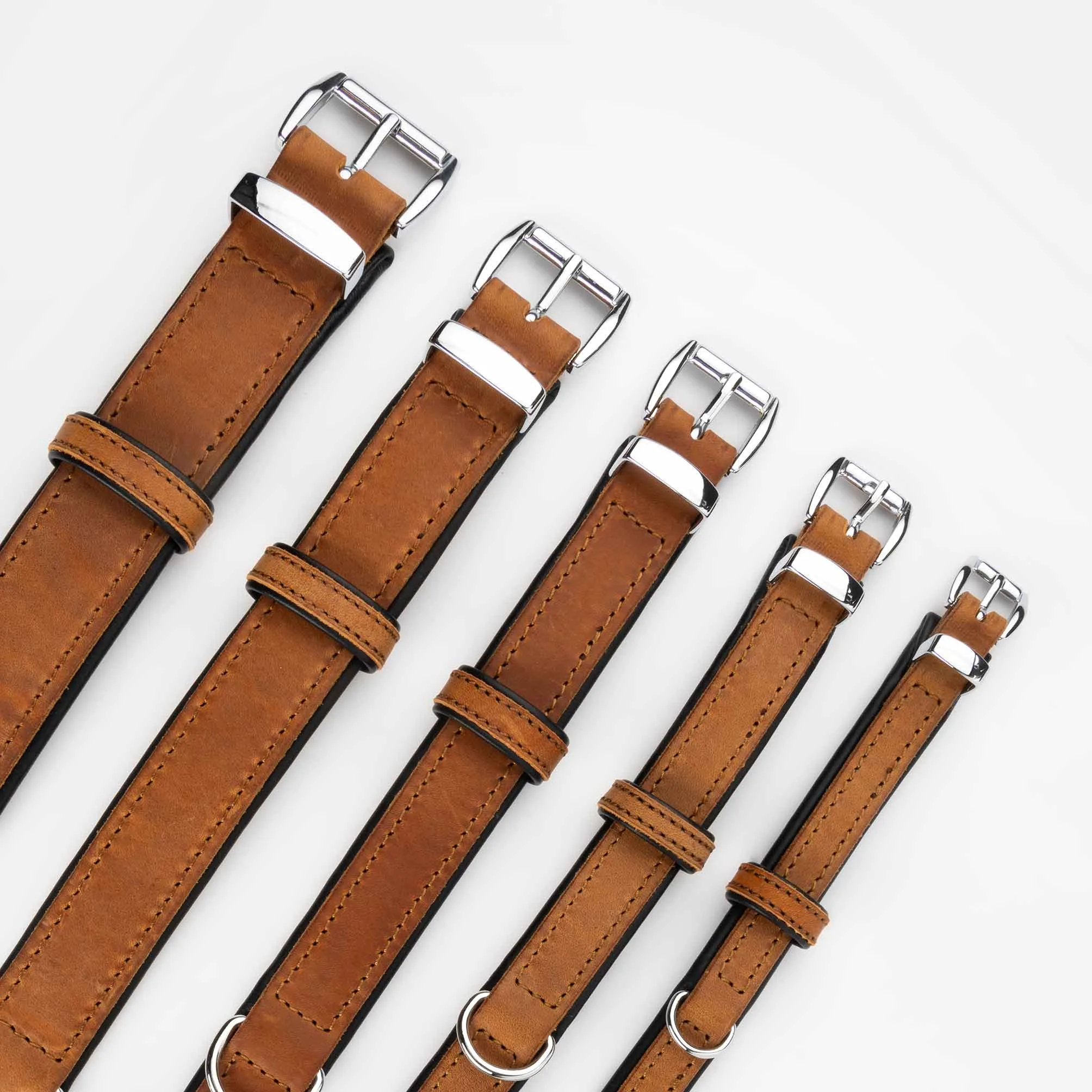 COLLARS - Premium Collection
