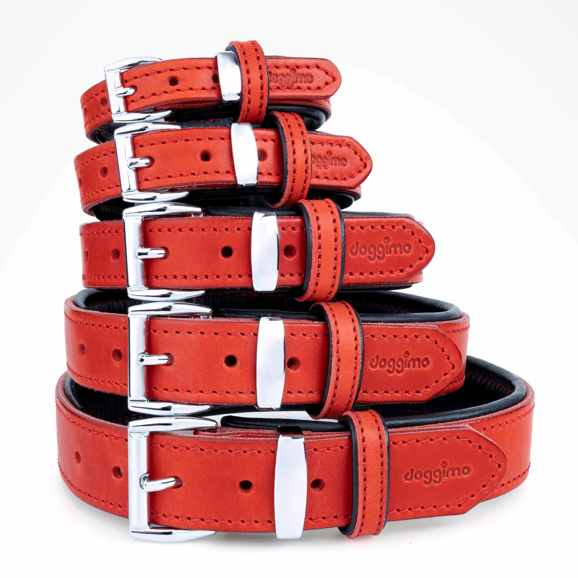 COLLARS - Premium Collection