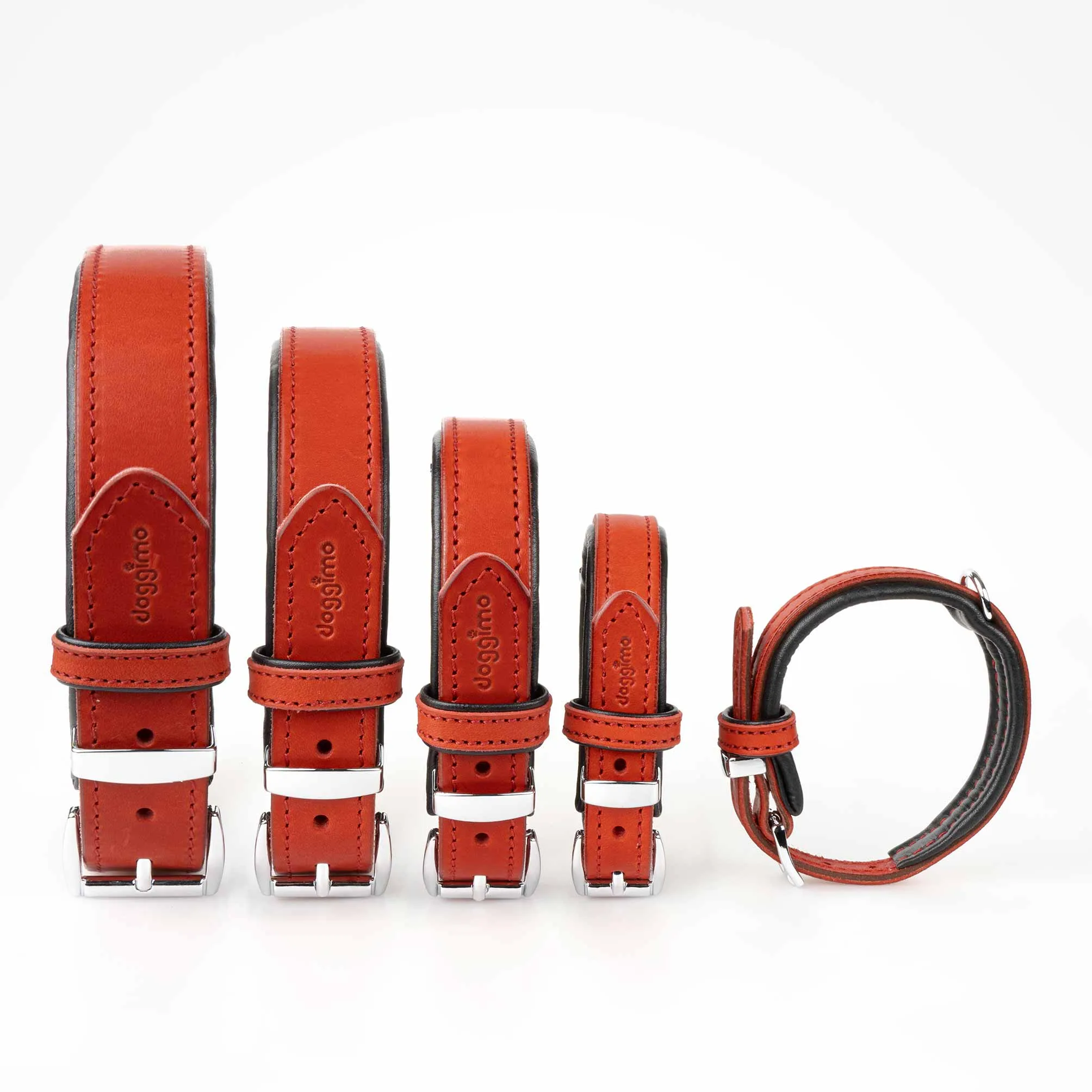 COLLARS - Premium Collection