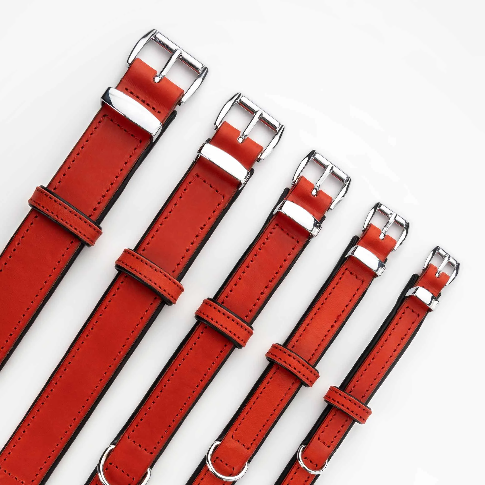 COLLARS - Premium Collection