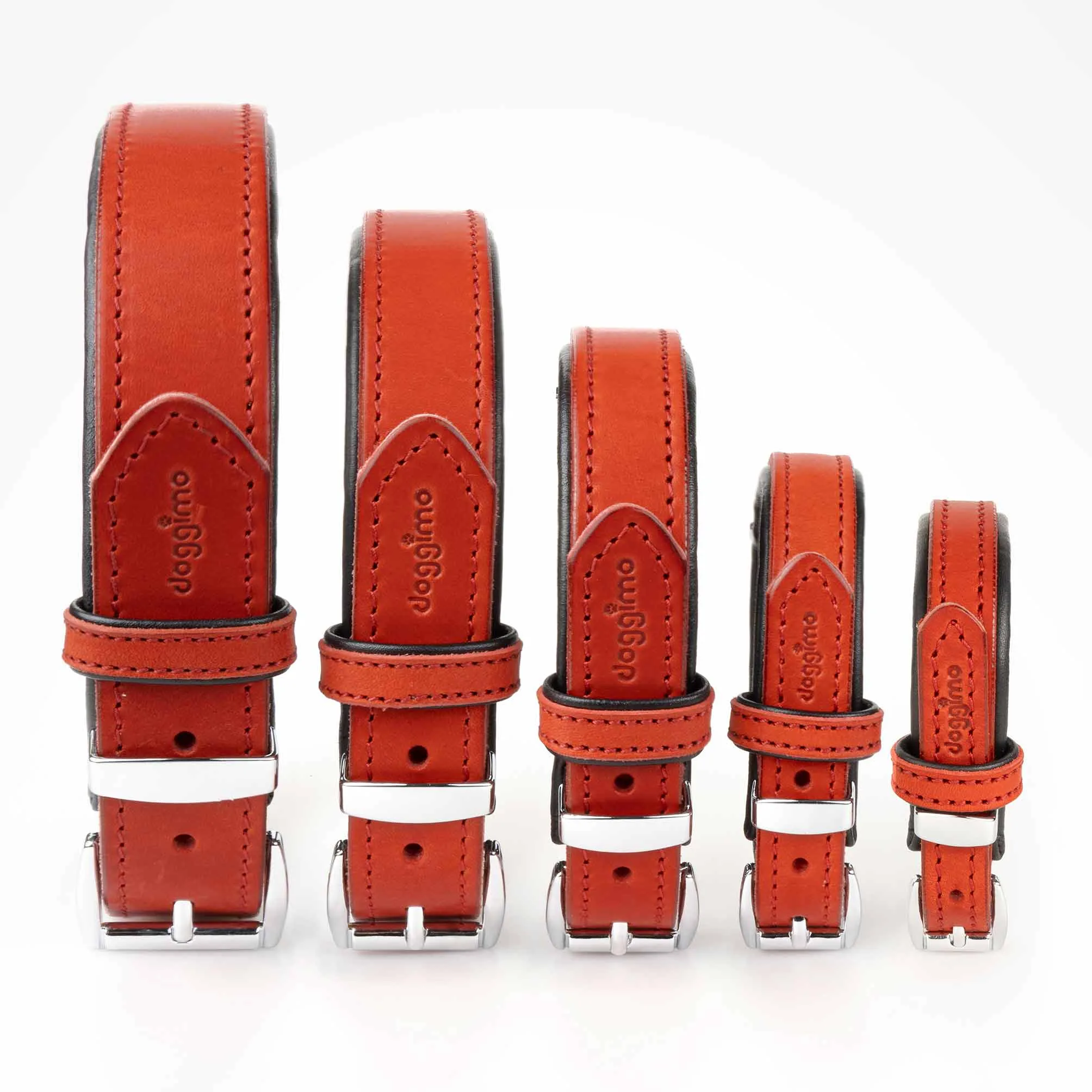COLLARS - Premium Collection
