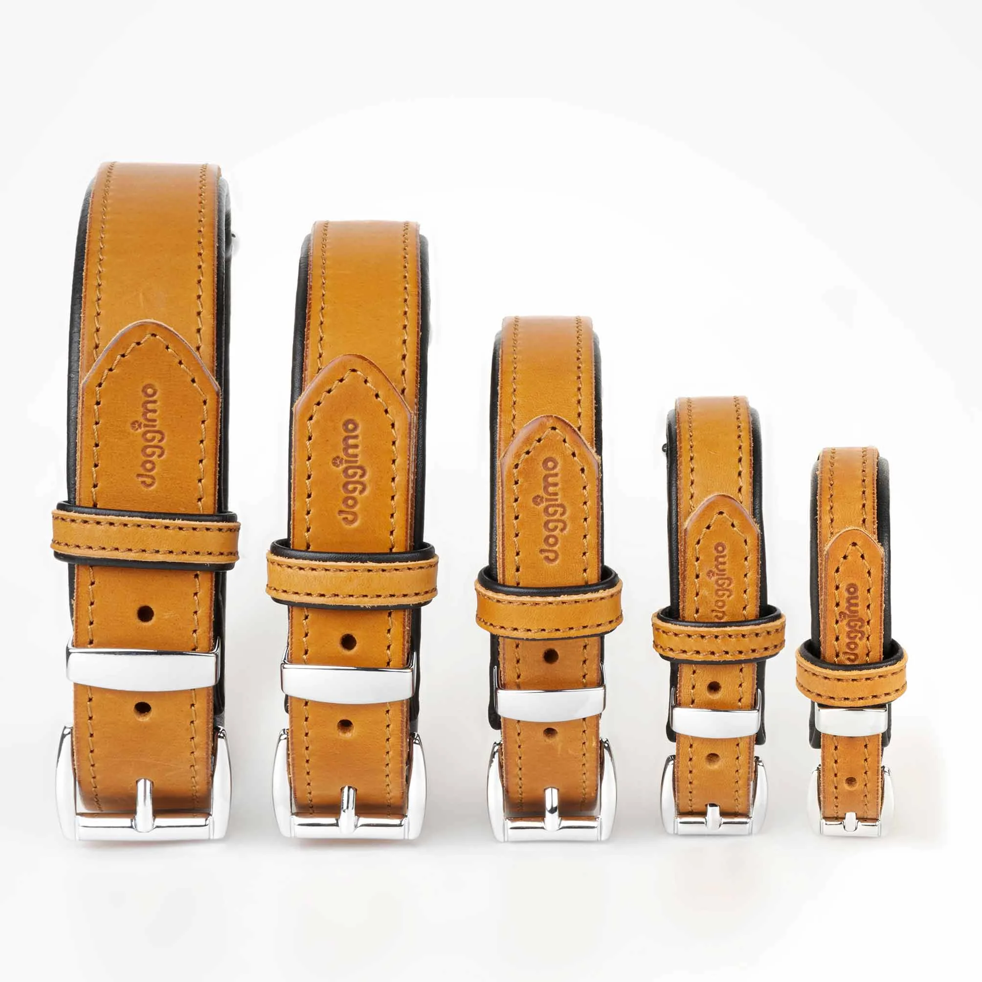 COLLARS - Premium Collection