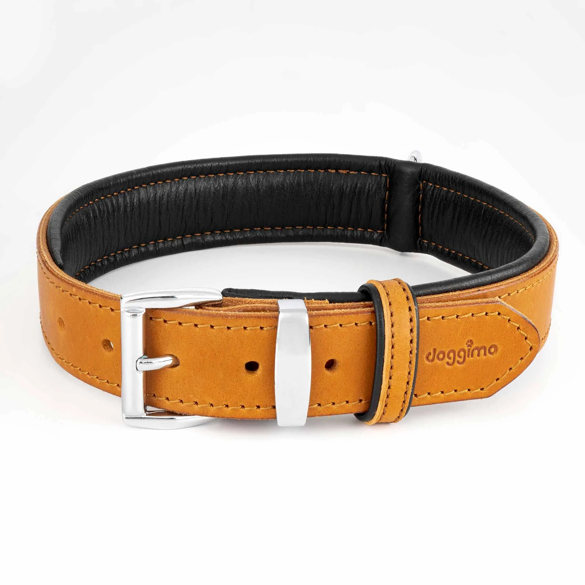 COLLARS - Premium Collection