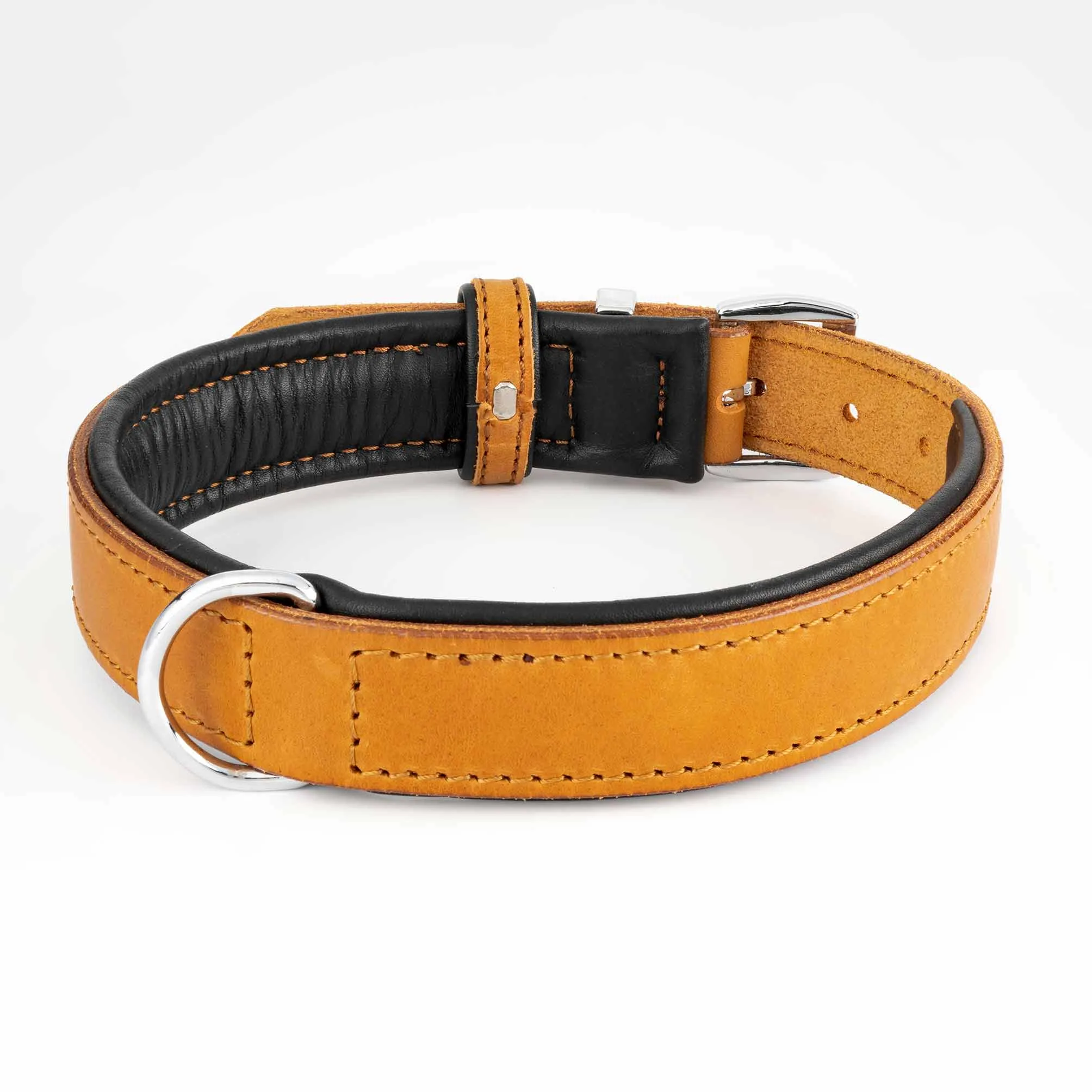 COLLARS - Premium Collection