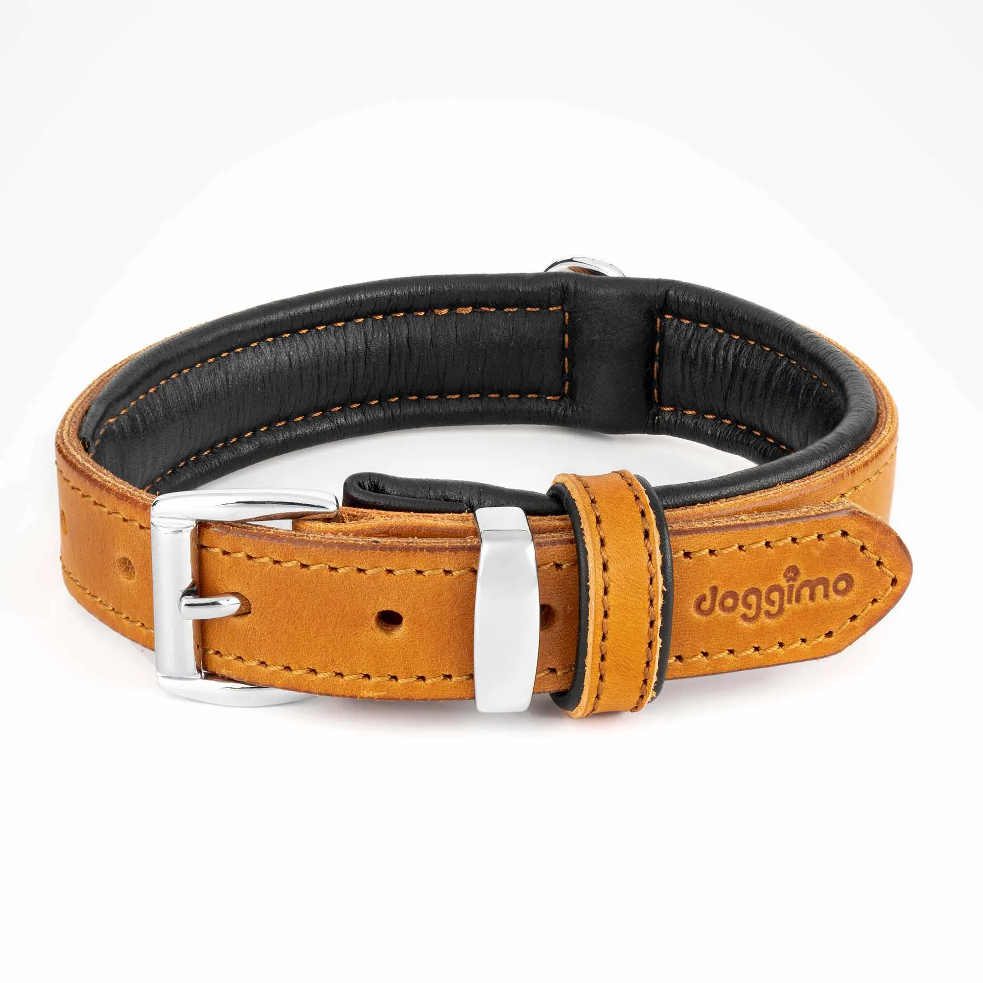 COLLARS - Premium Collection