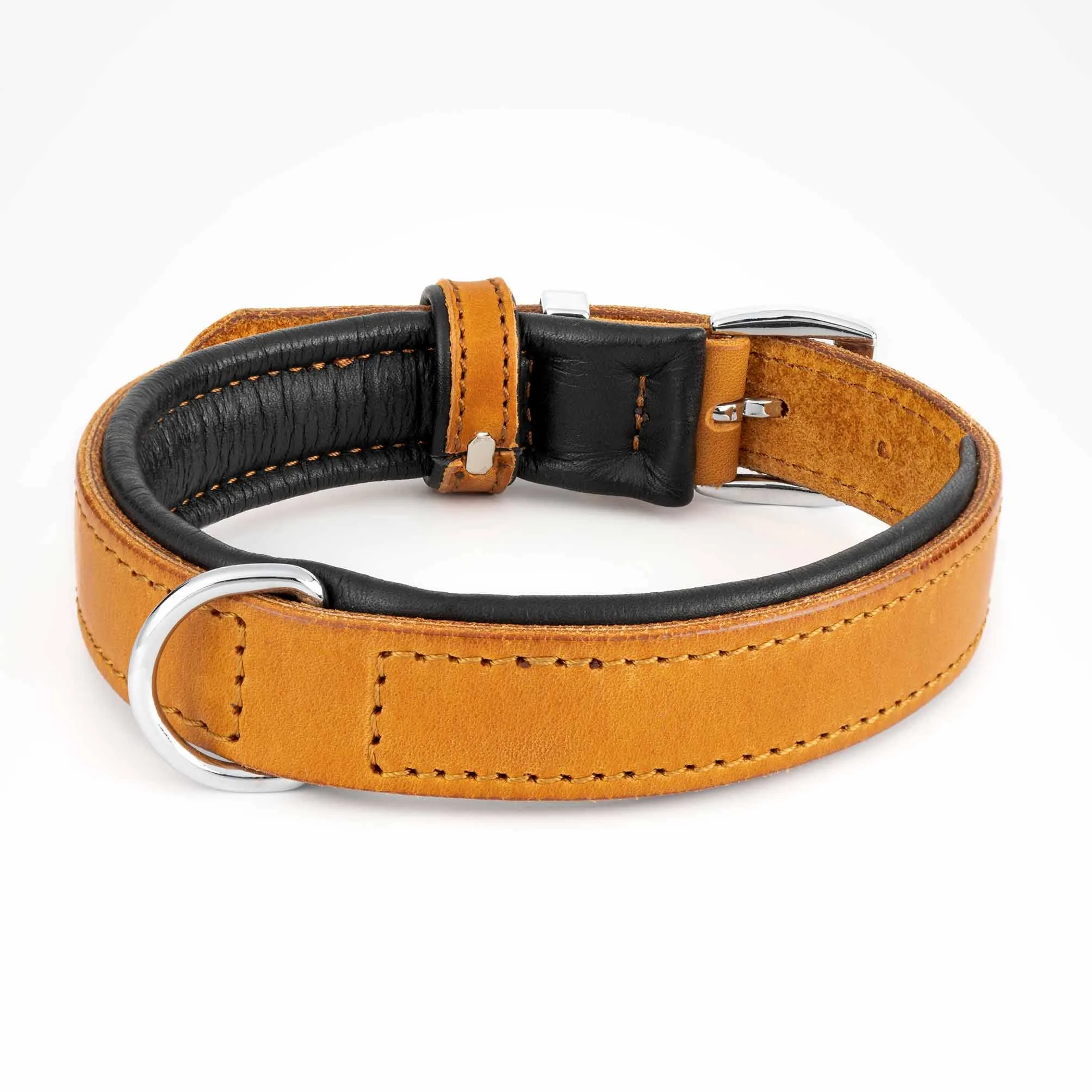 COLLARS - Premium Collection