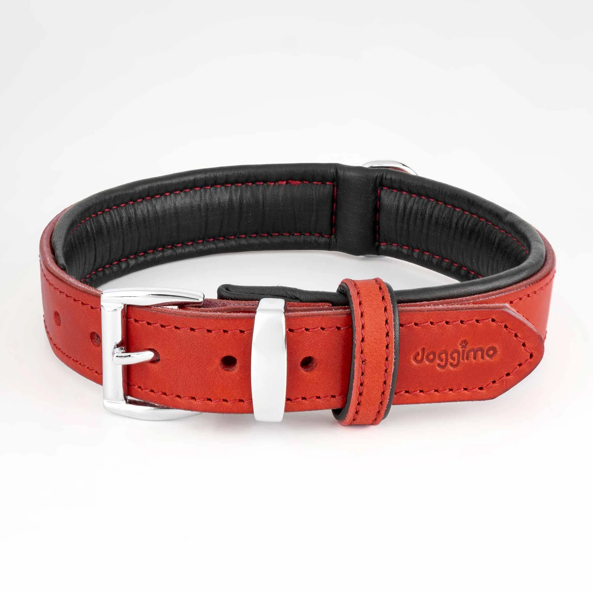 COLLARS - Premium Collection