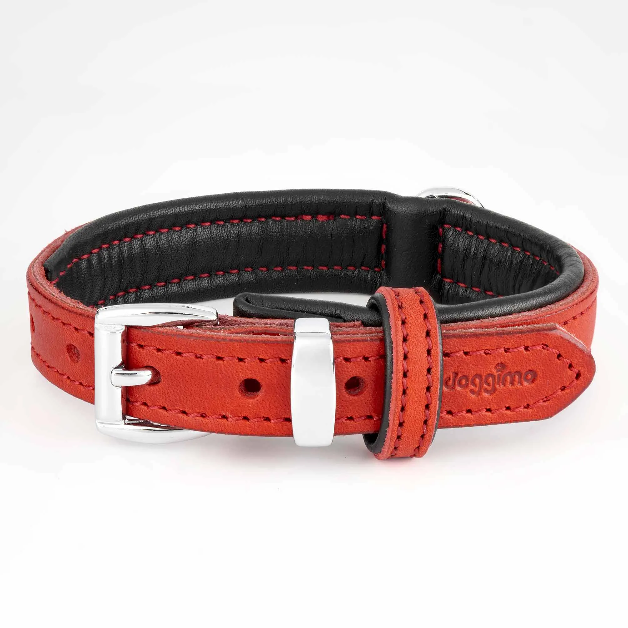COLLARS - Premium Collection