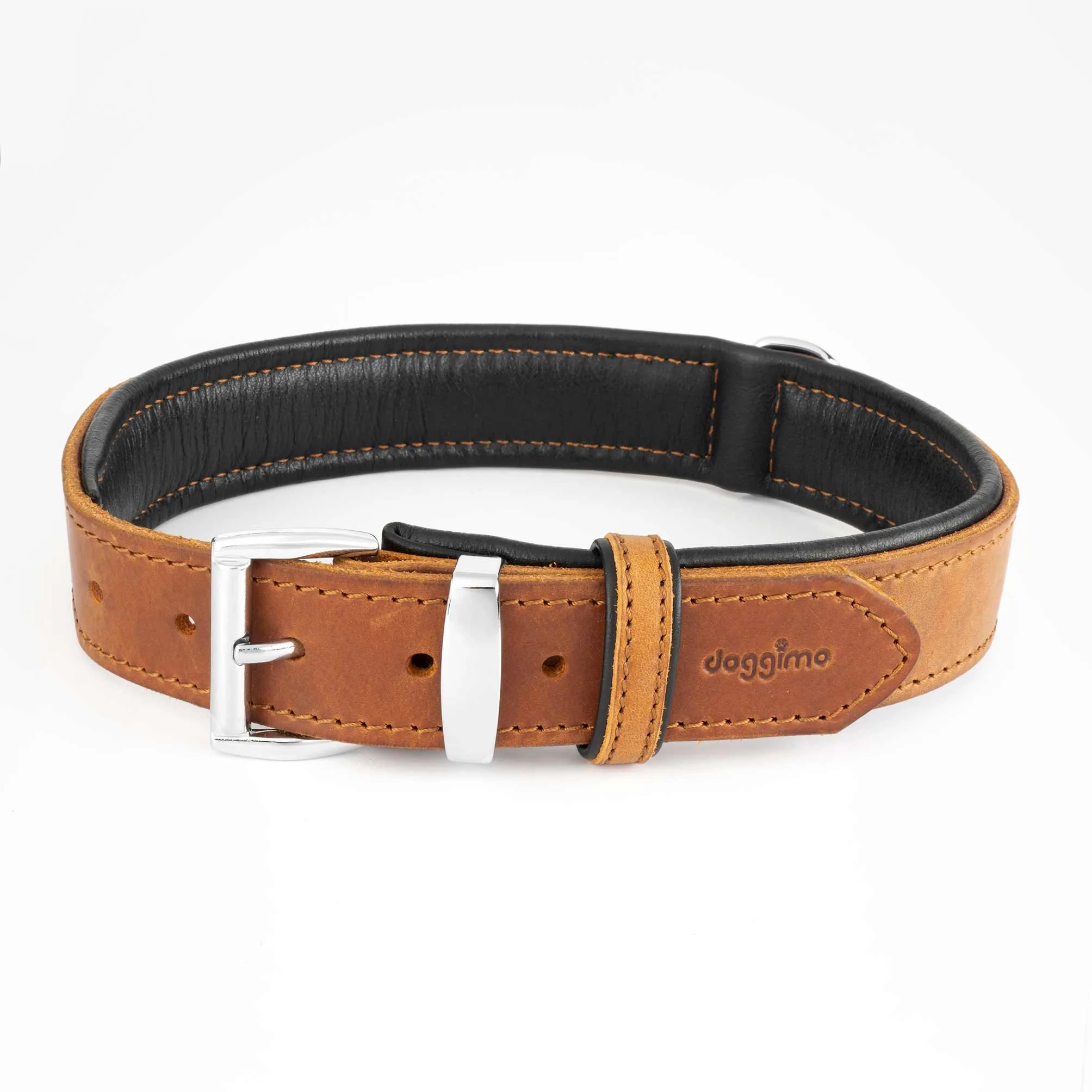 COLLARS - Premium Collection