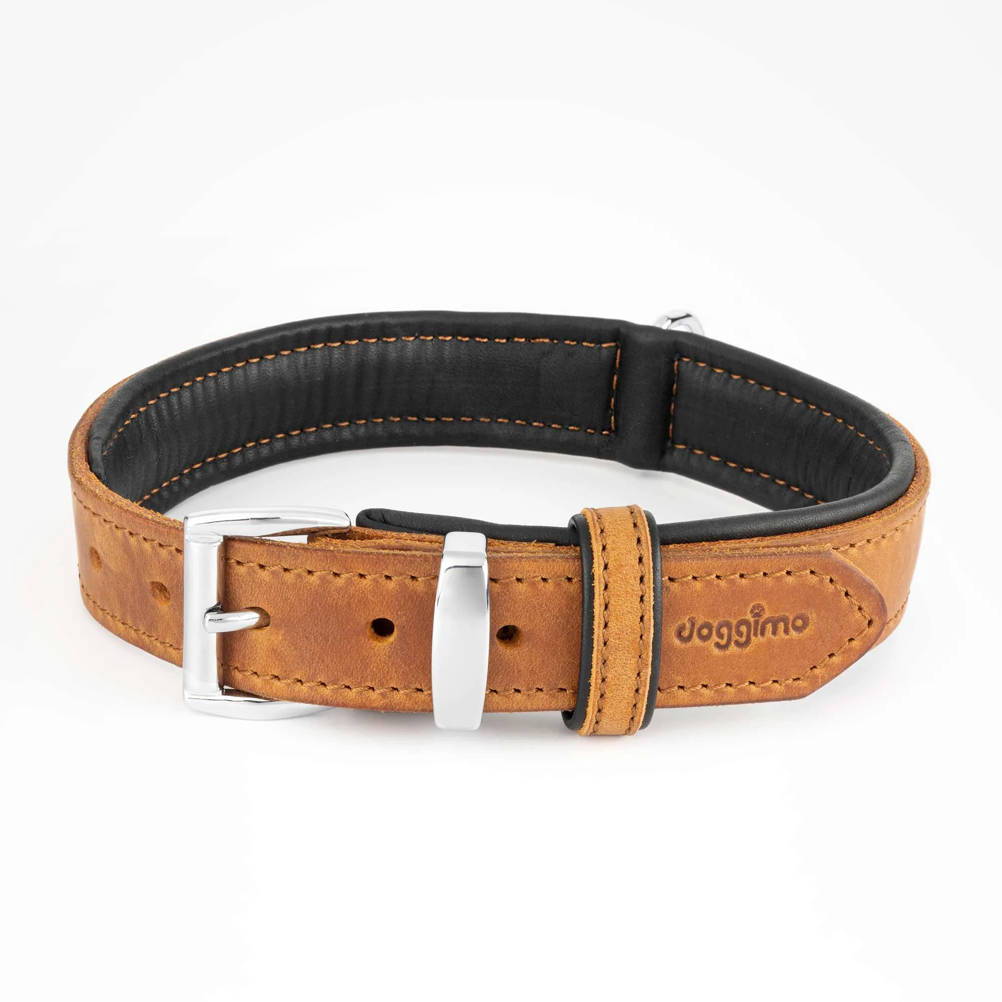 COLLARS - Premium Collection
