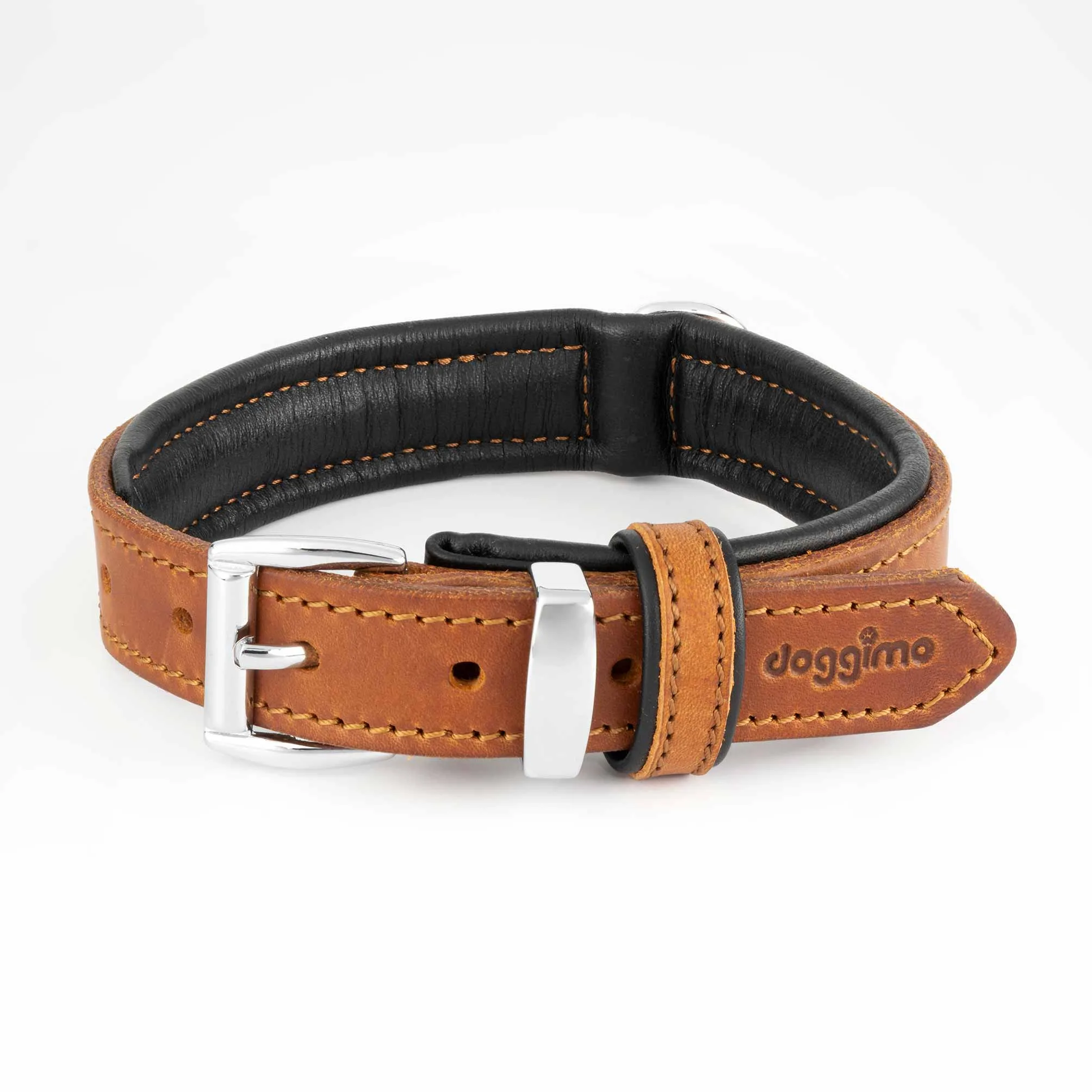 COLLARS - Premium Collection