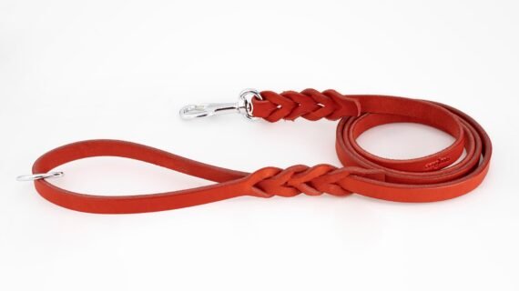 LEASHES - Premium Collection