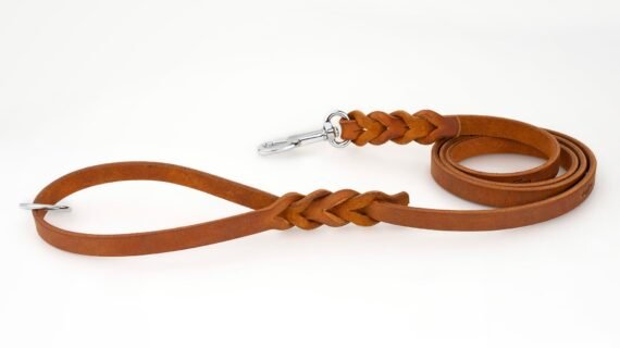 LEASHES - Premium Collection