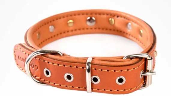 COLLARS - Royal Collection