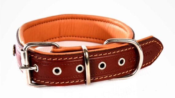 COLLARS - Royal Collection