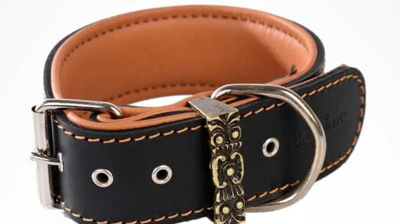 COLLARS - Royal Collection