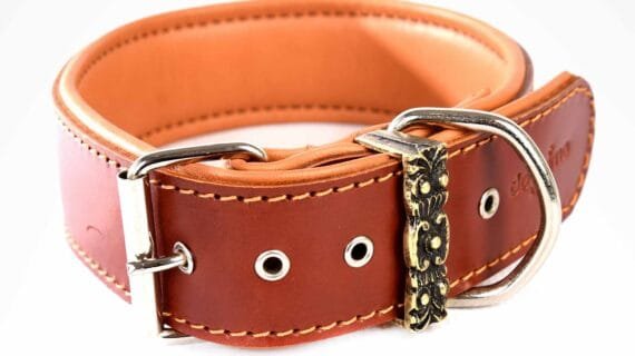 COLLARS - Royal Collection