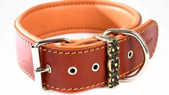 COLLARS - Royal Collection
