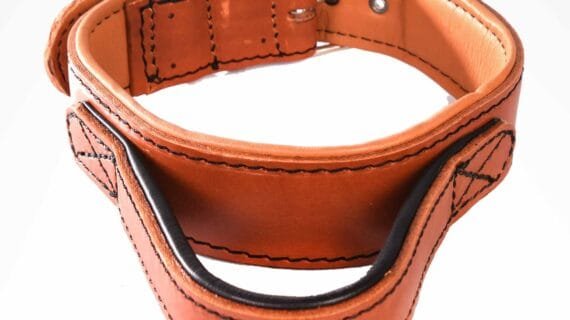 HOLD CLOSE COLLARS - Royal Collection