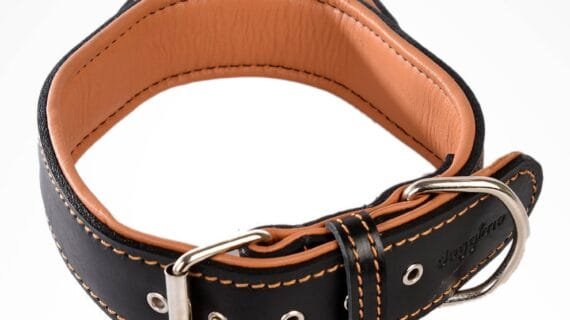 HOLD CLOSE COLLARS - Royal Collection