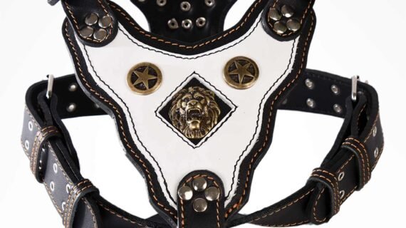 HARNESS - Royal Collection